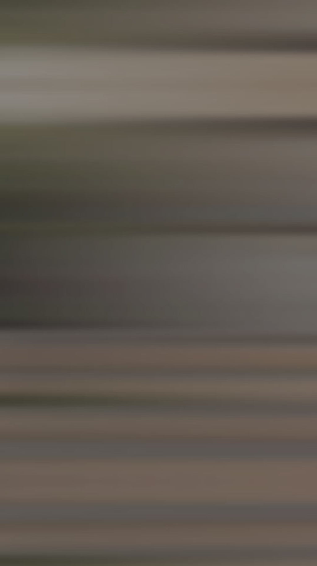 FALDA VALERINA - falda bordada