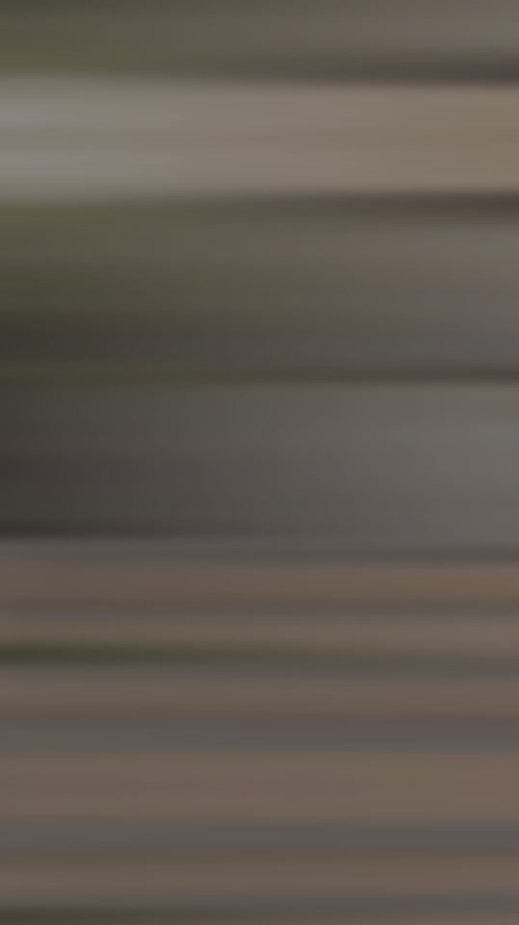 FALDA VALERINA - falda bordada